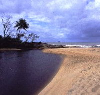 Russell River National Park - Accommodation Asia