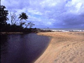 Russell River National Park - Accommodation Asia 0