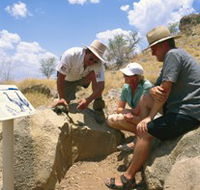 Riversleigh Fossil Fields - Accommodation Guide