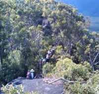 Mia Mia State Forest - Accommodation Guide