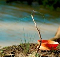 Charleville - Mangalore Warrego River Fishing Spot - Accommodation Guide
