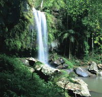 Curtis Falls Joalah Section - Accommodation Guide