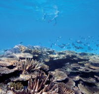 Australian Institute of Marine Science