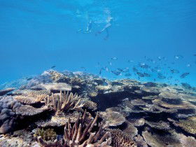 Australian Institute Of Marine Science - Accommodation Asia 0