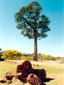 Tuen QLD Accommodation Guide