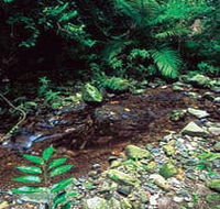 Wompoo Walk - Accommodation Guide