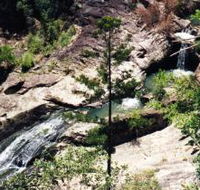 Banksia Track and the Boardwalk - Accommodation China