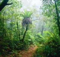 Lamington National Park Green Mountains Section - Accommodation Guide