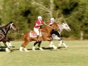 Wildash QLD Accommodation Guide