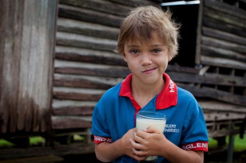 Maleny Dairies - Accommodation Guide 2