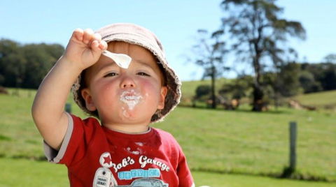 Maleny Dairies - Accommodation Guide 5