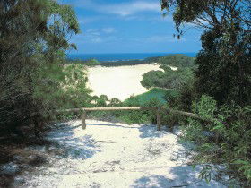 Lake Wabby Track - Accommodation Asia 0