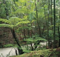 Fraser Island Great Walk - Accommodation Guide
