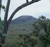 Mount Fox - Accommodation Guide