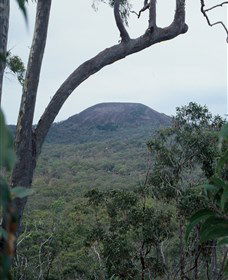 Mount Fox - Accommodation Guide 0