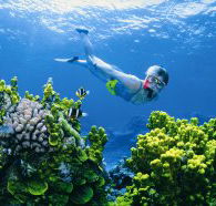 Wheeler Reef Dive Site