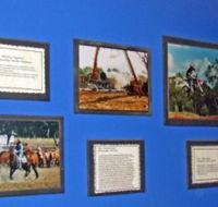 Town Hall Photographic Display - Accommodation Guide
