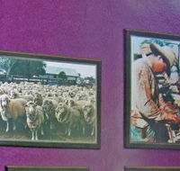Charleville Photographic Display - Accommodation Guide
