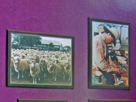 Charleville Photographic Display - Accommodation China 0