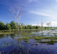 Tyto Wetlands - Accommodation Guide