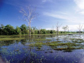 Tyto Wetlands - Accommodation Guide 0