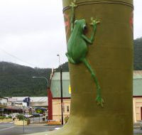 Golden Gumboot - Accommodation Guide