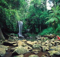 Tamborine National Park - Accommodation Guide