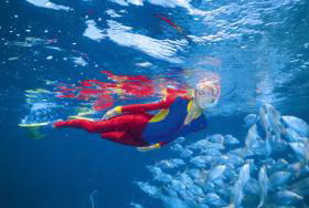 Outer Rocks Dive Site - Accommodation Asia 0