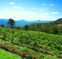 Preston Peak Wines - Accommodation China