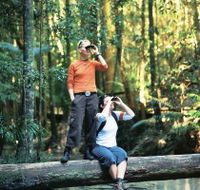 Birdwatching on the Fraser Coast - Accommodation Guide
