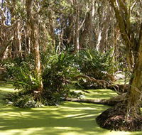Arkarra Lagoons and Tea Gardens - Accommodation Guide