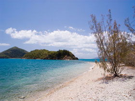 Shute Harbour QLD Accommodation Guide