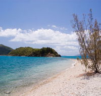 Paddle Bay Track and Campsite - Accommodation Guide