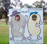 Kingaroy Lions Park - Accommodation Guide