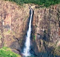 Gugigugi Butterfly Walk Wet Tropics Great Walk - Accommodation Guide