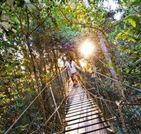Tree Top Walkway - Accommodation Guide