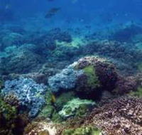 Hoffman's Rocks Dive Site - Accommodation China