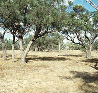 Forest Den National Park - Accommodation Asia