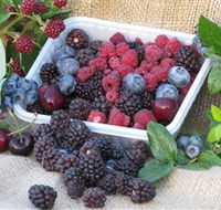 Bright Berry Farms - Accommodation Guide