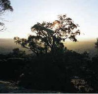Yarra Flats - Accommodation Guide