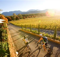 Boyntons Feathertop Winery - Accommodation Guide