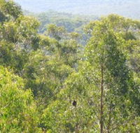 Bunyip State Park - Accommodation Guide