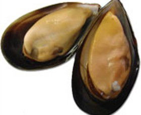 Sea Bounty - Accommodation Guide 0