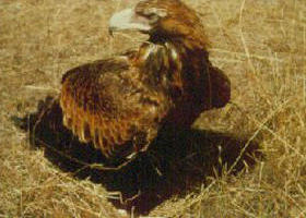 Long Forest Nature Conservation Reserve - Accommodation China 0