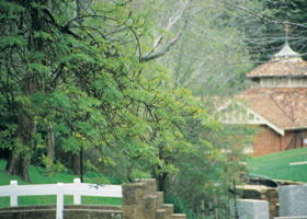 Hepburn Regional Park - Accommodation Guide 0