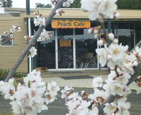 Rayner's Orchard - Accommodation Guide 0