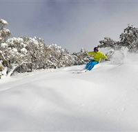 Mt Buller and Mt Stirling Alpine Resort - Accommodation Asia