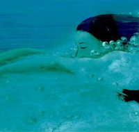 Muse - Accommodation China