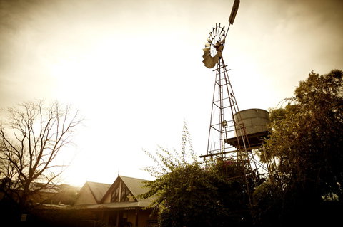 Brown Brothers Milawa Vineyard - Accommodation Asia 1