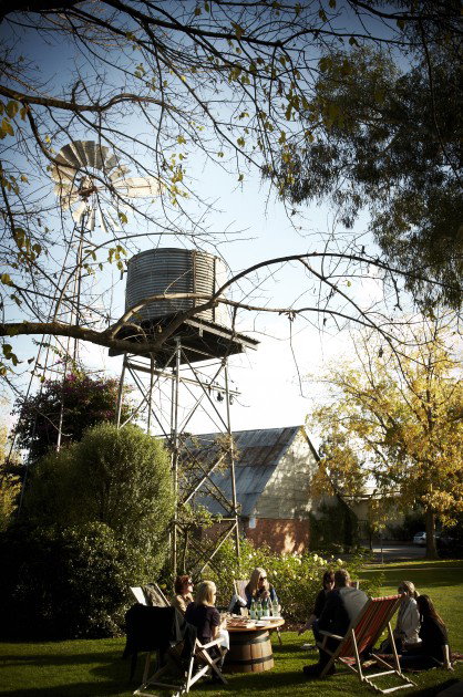 Brown Brothers Milawa Vineyard - Accommodation Asia 5